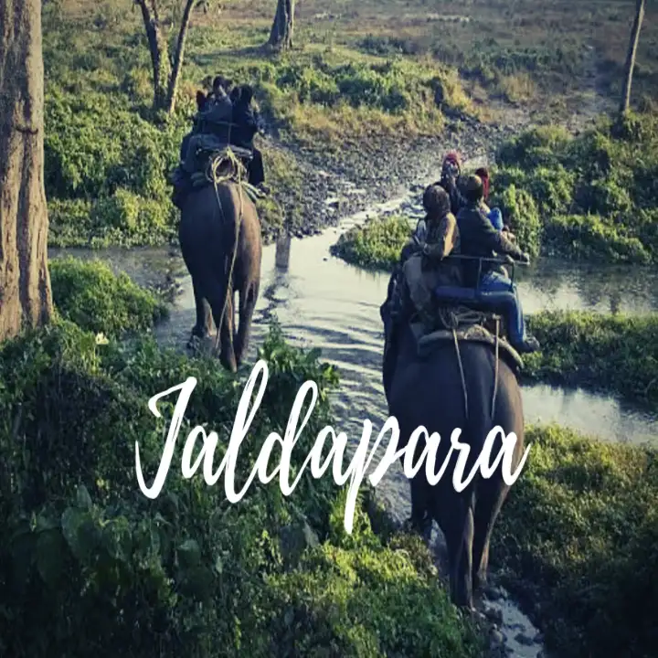 Jaldapara - The Elephant Country